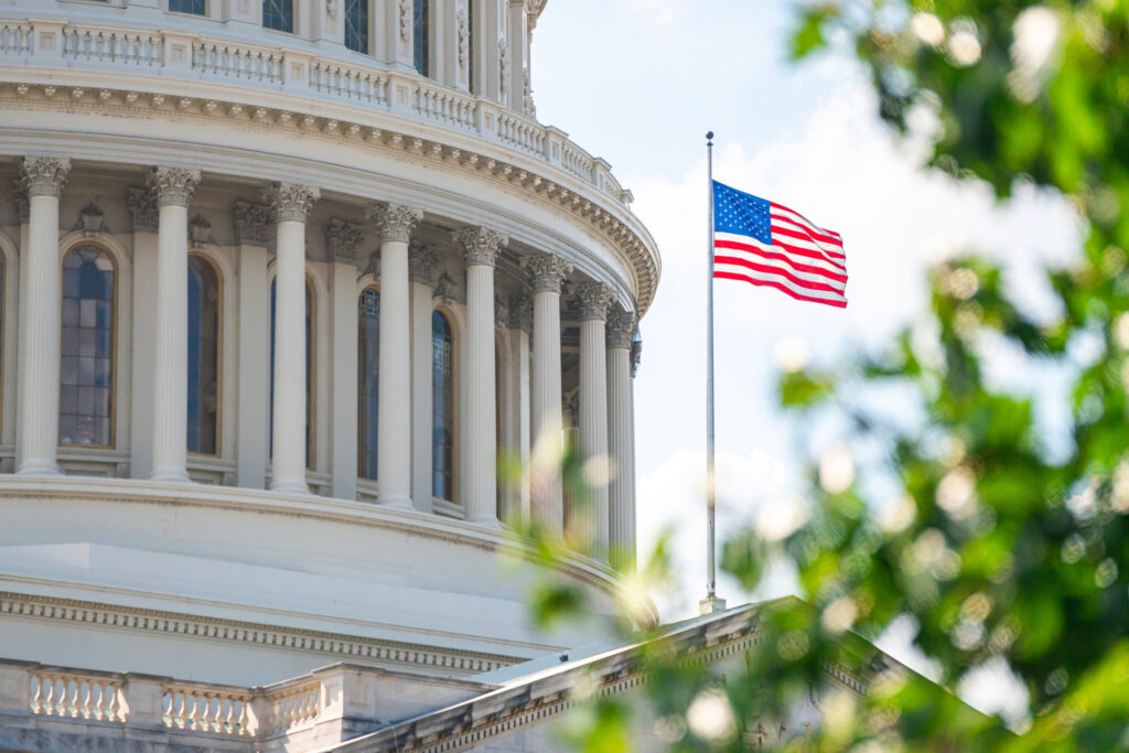 Dominating the image is the U.S. Capitol building's dome, with the American flag flying against a blue sky. Green leaves frame the scene, conveying a serene mood.