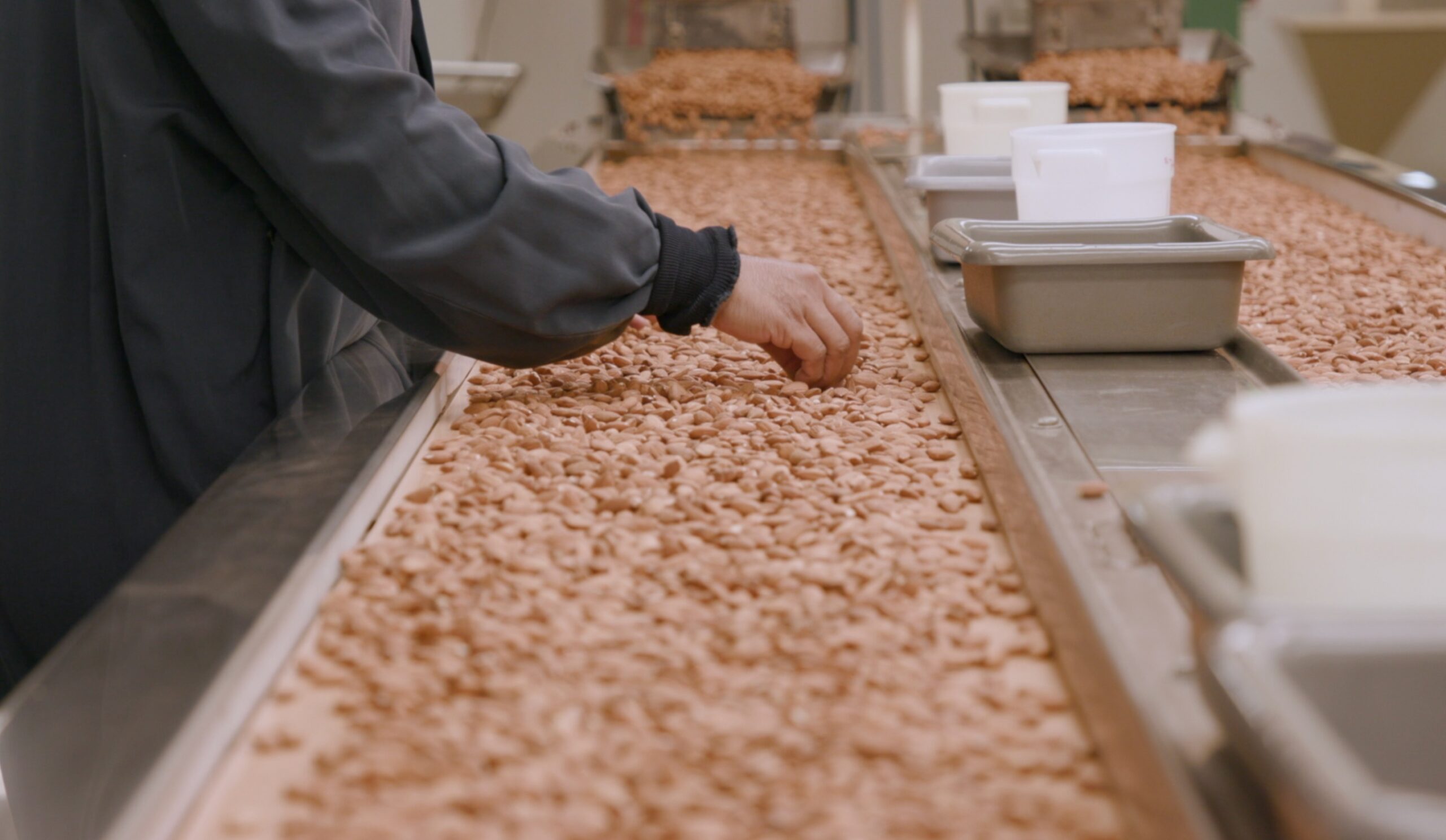 Almond production line